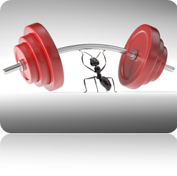 strong ant